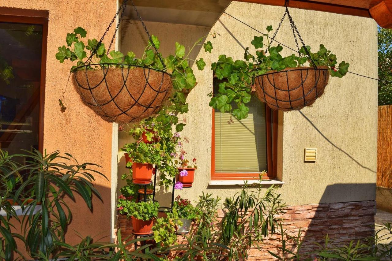 Tatyana Guest House Byala  Exterior photo